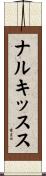 ナルキッスス Scroll