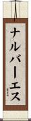 ナルバーエス Scroll
