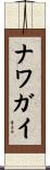 ナワガイ Scroll