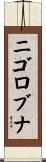 ニゴロブナ Scroll
