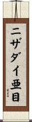 ニザダイ亜目 Scroll