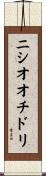 ニシオオチドリ Scroll