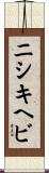 ニシキヘビ Scroll