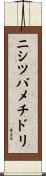 ニシツバメチドリ Scroll