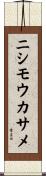 ニシモウカサメ Scroll