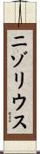 ニゾリウス Scroll