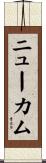 Newcomb Scroll