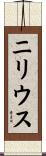 ニリウス Scroll