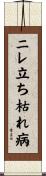 ニレ立ち枯れ病 Scroll