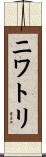 ニワトリ Scroll