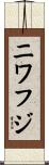 ニワフジ Scroll