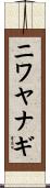 ニワヤナギ Scroll