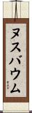 Nussbaum Scroll
