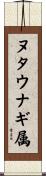 ヌタウナギ属 Scroll