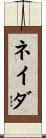 ネイダ Scroll