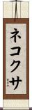 ネコクサ Scroll