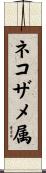 ネコザメ属 Scroll