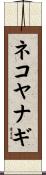 ネコヤナギ Scroll