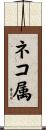 ネコ属 Scroll