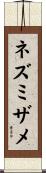 ネズミザメ Scroll
