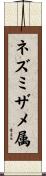 ネズミザメ属 Scroll