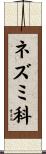 ネズミ科 Scroll