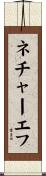 ネチャーエフ Scroll