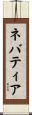ネバティア Scroll