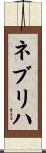 ネブリハ Scroll