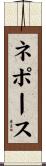 ネポース Scroll