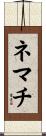 ネマチ Scroll