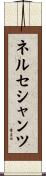 ネルセシャンツ Scroll