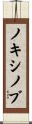 ノキシノブ Scroll