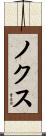ノクス Scroll