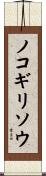 ノコギリソウ Scroll