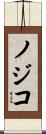 ノジコ Scroll