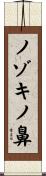 ノゾキノ鼻 Scroll