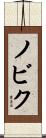 ノビク Scroll