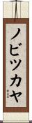 ノビツカヤ Scroll