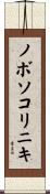 ノボソコリニキ Scroll