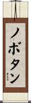 ノボタン Scroll