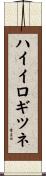 ハイイロギツネ Scroll
