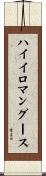 ハイイロマングース Scroll