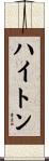 ハイトン Scroll