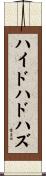 ハイドハドハズ Scroll