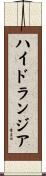 ハイドランジア Scroll