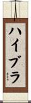 ハイブラ Scroll