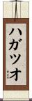 ハガツオ Scroll