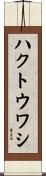 ハクトウワシ Scroll