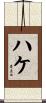 ハケ Scroll